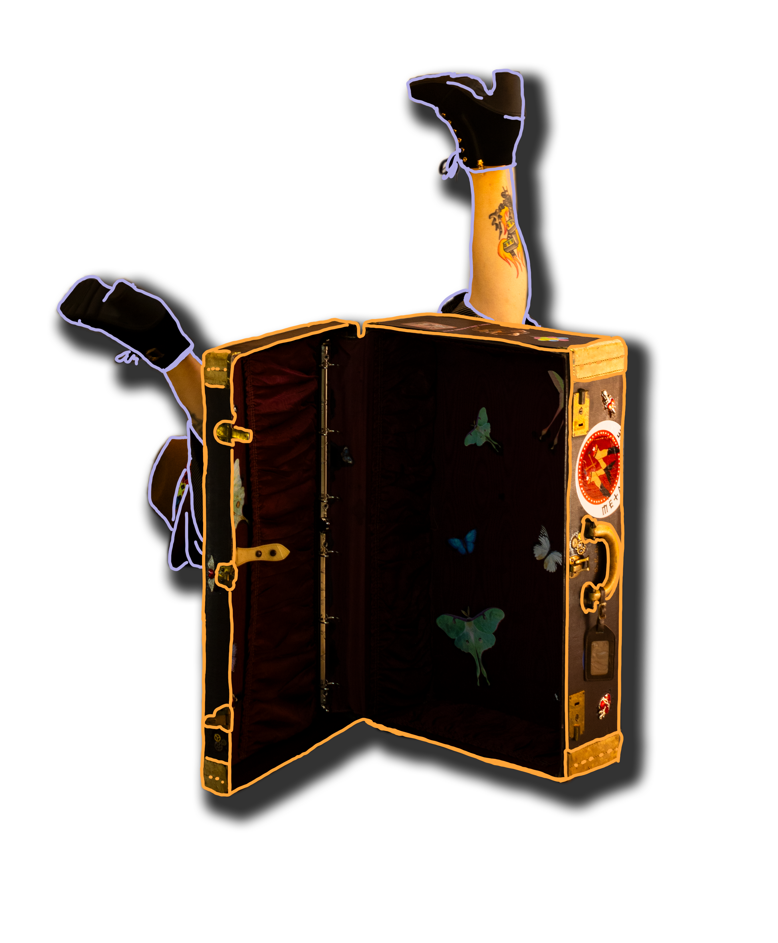 Portfolio Illustration